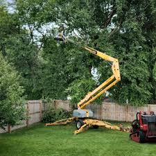 Lawn Watering Services in Garrett, WA