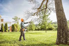Organic Lawn Care Solutions in Garrett, WA
