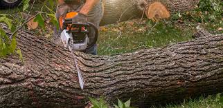 Best Artificial Turf Installation  in Garrett, WA