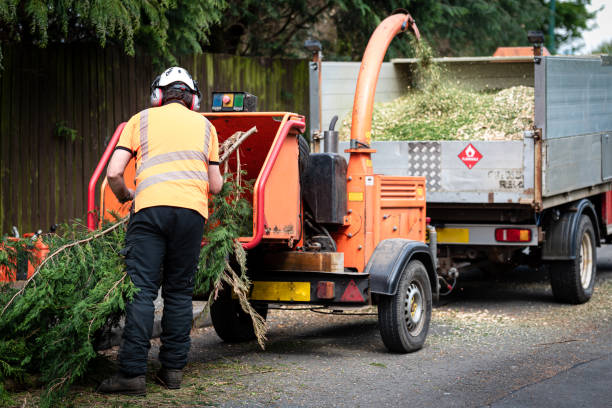 Best Hazardous Tree Removal  in Garrett, WA