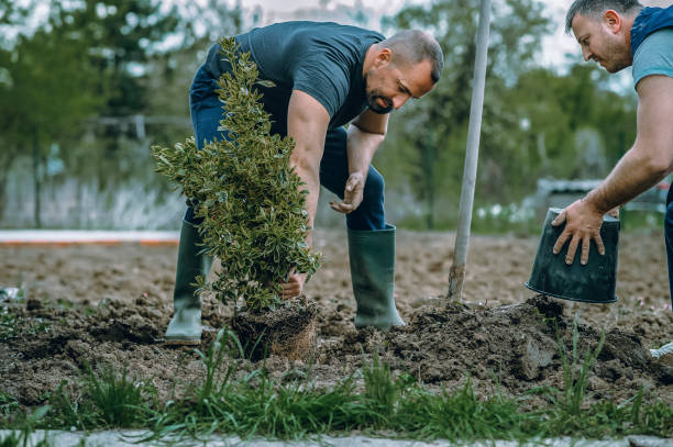 Best Seasonal Cleanup (Spring/Fall)  in Garrett, WA