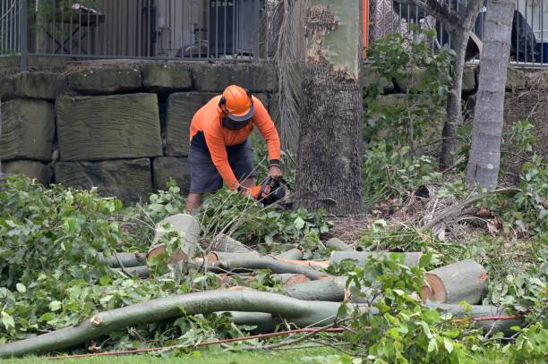 Reliable Garrett, WA Tree Services Solutions